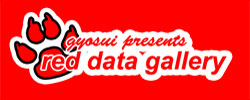 logo_RDG