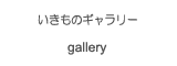 いきものギャラリー